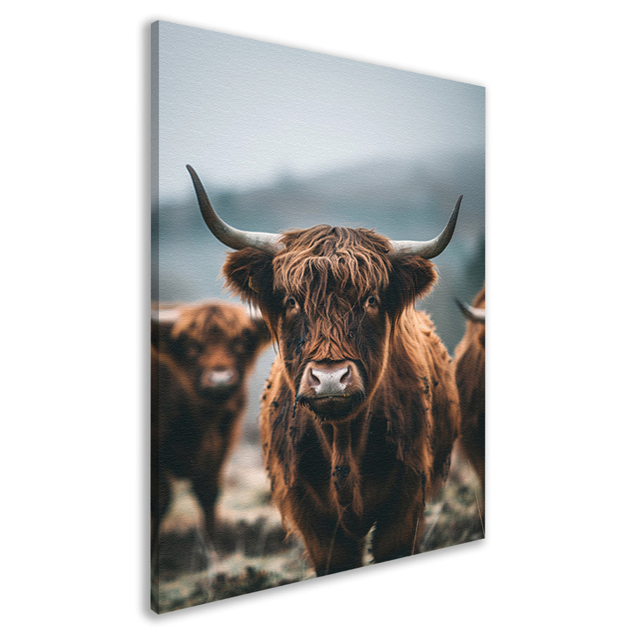 Schotse Hooglander in mistig landschap canvas