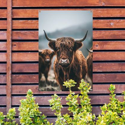 Schotse Hooglander in mistig landschap tuinposter