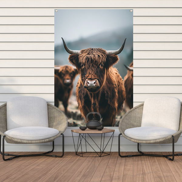 Schotse Hooglander in mistig landschap tuinposter