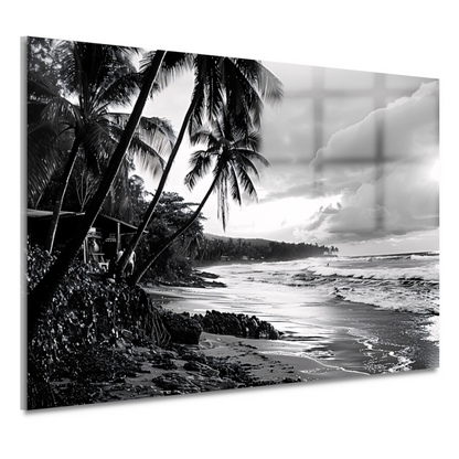 Zwart-wit strand met palmbomen acrylglas