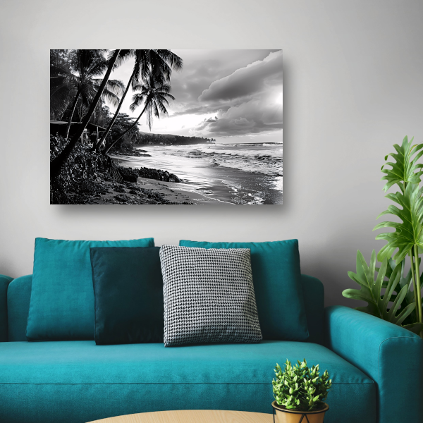 Zwart-wit strand met palmbomen acrylglas