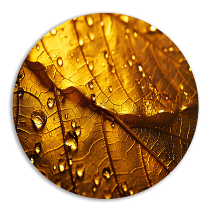 Waterdruppels op goudkleurig blad in detail aluminium muurcirkel
