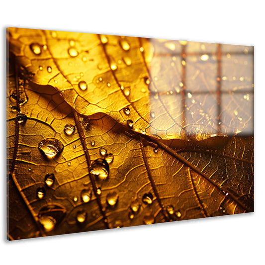 Waterdruppels op goudkleurig blad in detail acrylglas
