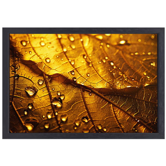 Waterdruppels op goudkleurig blad in detail canvas met baklijst