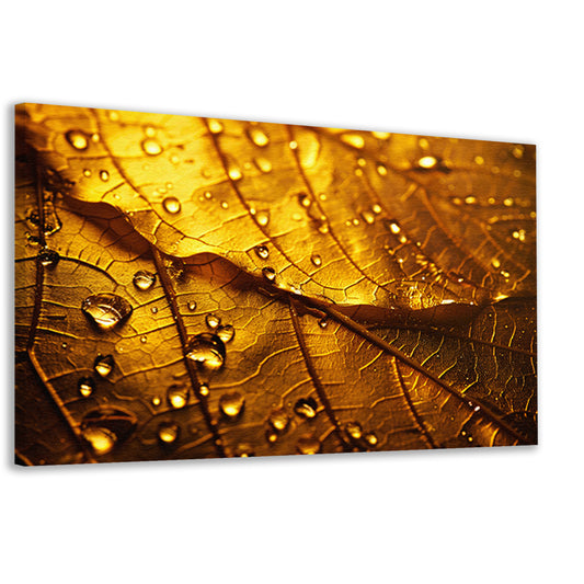 Waterdruppels op goudkleurig blad in detail canvas