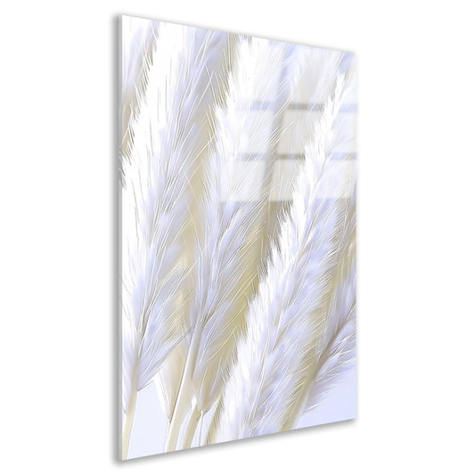 Digitale print van witte pluimen acrylglas