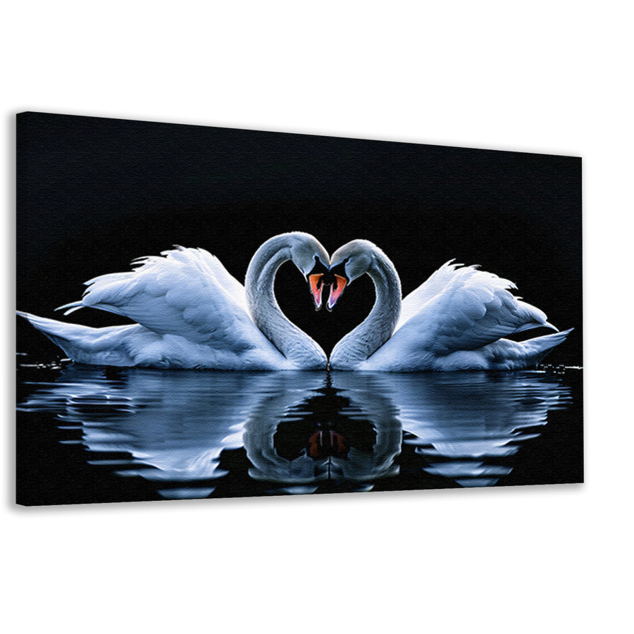 Twee zwanen vormen hart op water canvas