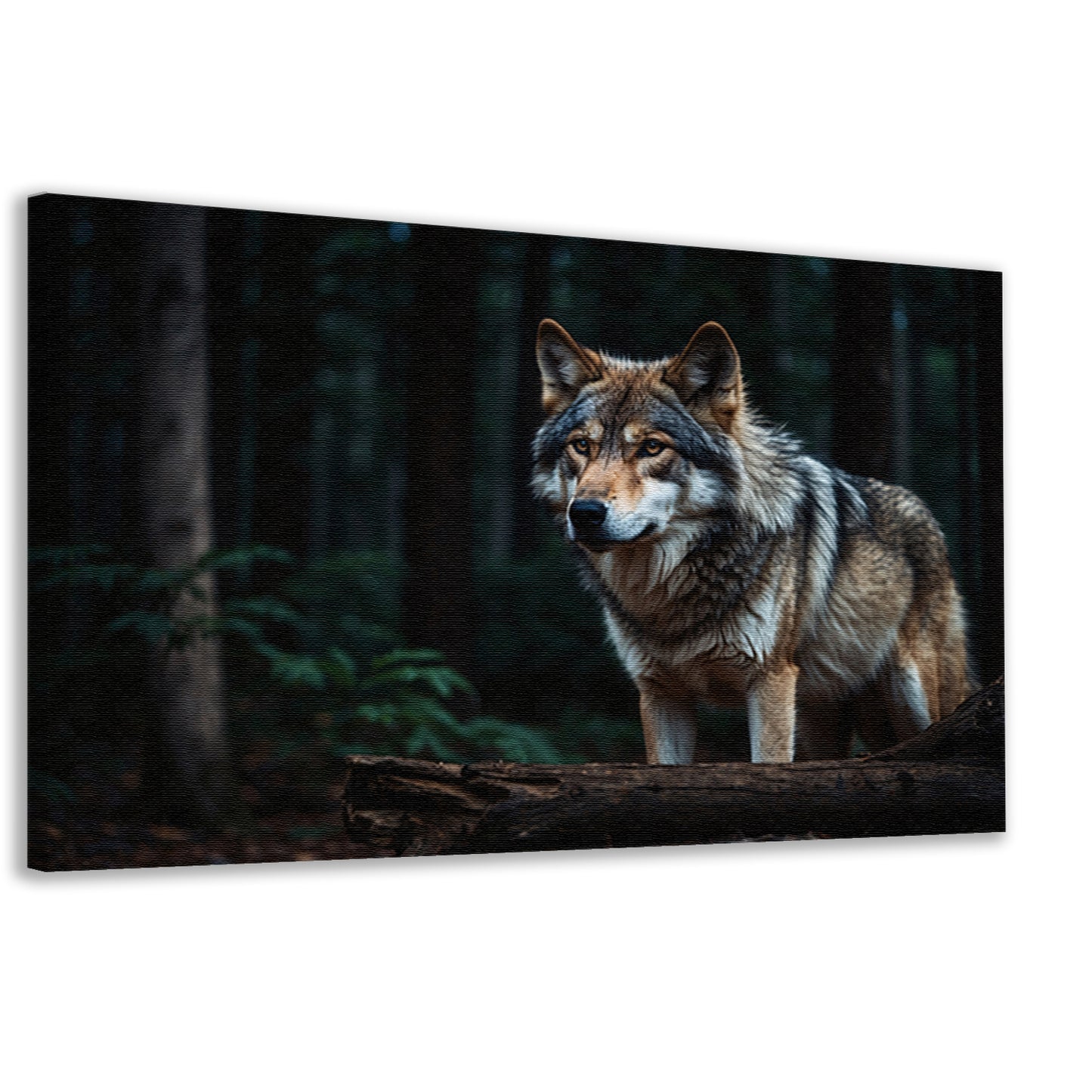 Prachtige wolf in een donker bos canvas