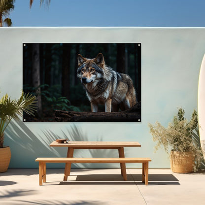 Prachtige wolf in een donker bos tuinposter