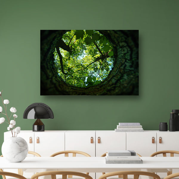 Natuurlijke lens op groene boomkruinen   acrylglas