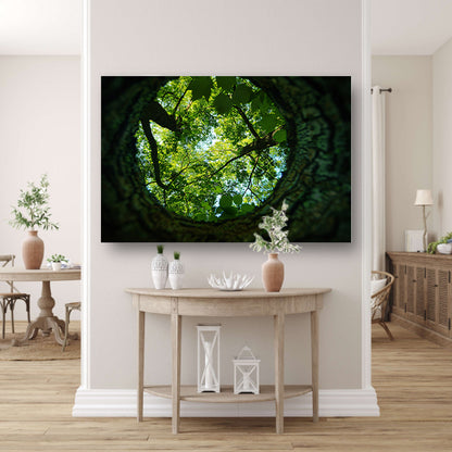 Natuurlijke lens op groene boomkruinen   canvas