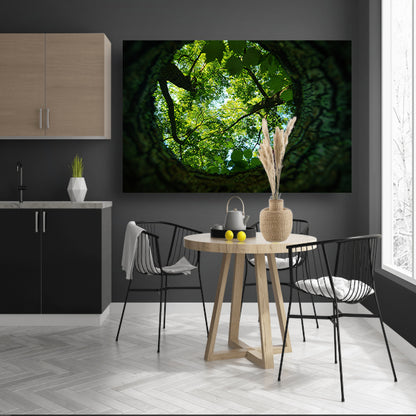 Natuurlijke lens op groene boomkruinen   canvas