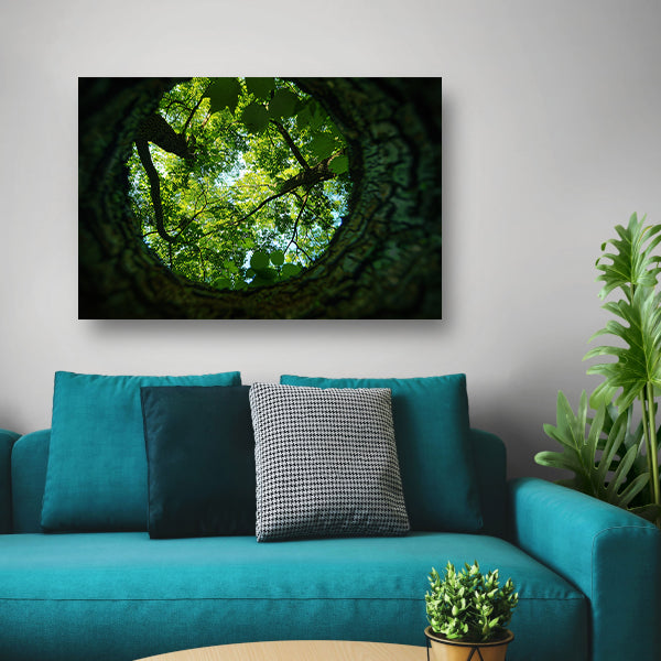 Natuurlijke lens op groene boomkruinen   canvas