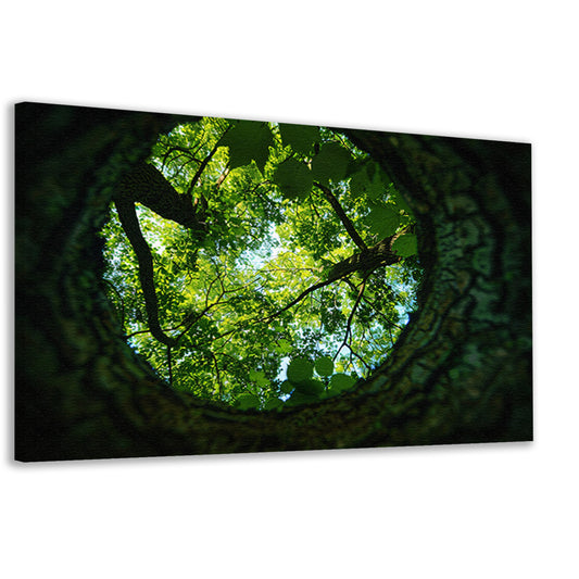 Natuurlijke lens op groene boomkruinen   canvas