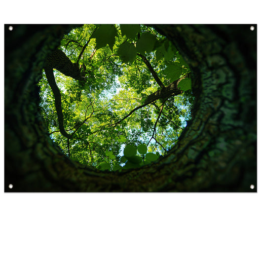 Natuurlijke lens op groene boomkruinen   tuinposter