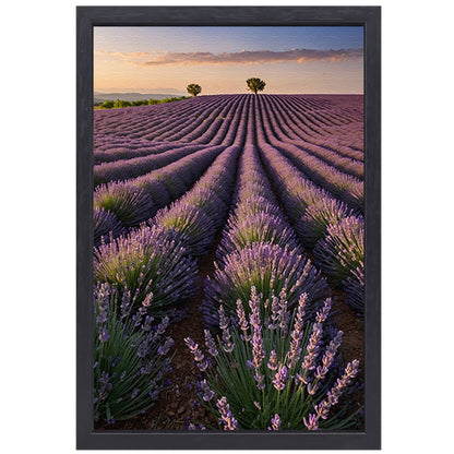 Uitgestrekt lavendelveld bij zonsondergang canvas met baklijst