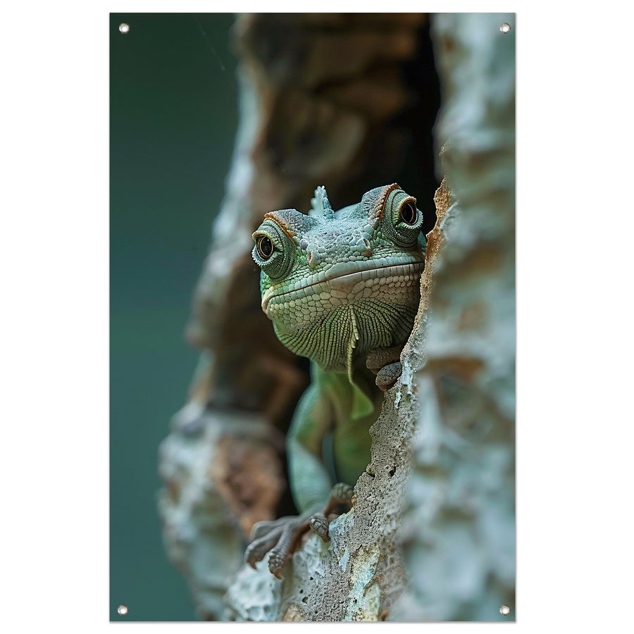 Kameleon Verstopt in Boomholte tuinposter