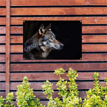 Intense Blik van een Wolf in Duisternis tuinposter