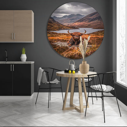 Schotse Hooglander in Berglandschap forex muurcirkel