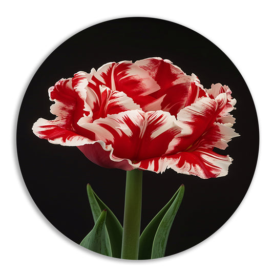 Prachtige realistische schilderij van een tulp forex muurcirkel