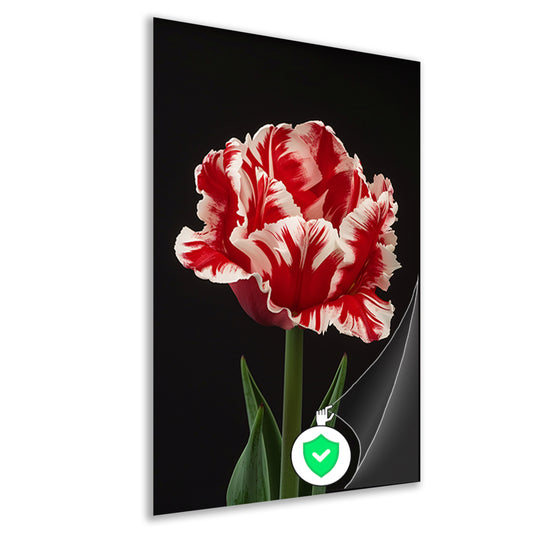 Prachtige realistische schilderij van een tulp poster