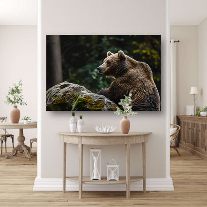 Beer rustend op een rots in de natuur canvas