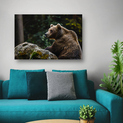 Beer rustend op een rots in de natuur canvas