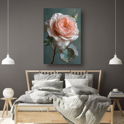 Roze Roos in Bloei met Dauwdruppels poster