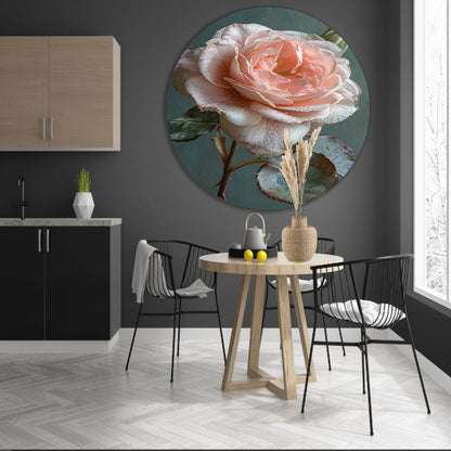 Roze Roos in Bloei met Dauwdruppels aluminium muurcirkel