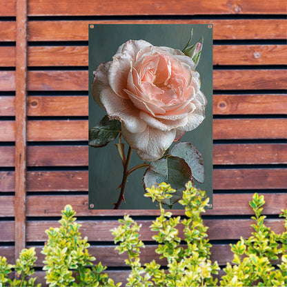 Roze Roos in Bloei met Dauwdruppels tuinposter