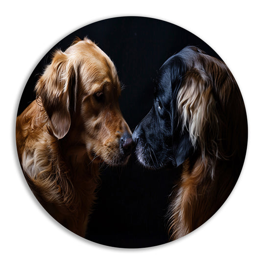 Twee honden raken elkaar met de neus forex muurcirkel