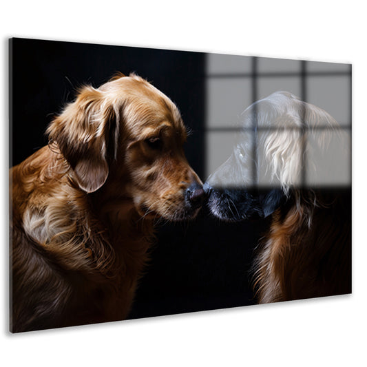 Twee honden raken elkaar met de neus acrylglas