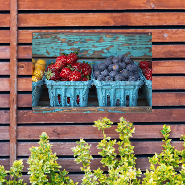 Kleurrijk fruitschaal met aardbeien en blauwe bessen tuinposter