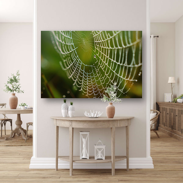 Dauw bedekt spinnenweb in close-up poster