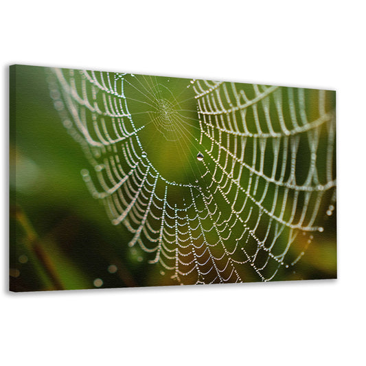 Dauw bedekt spinnenweb in close-up canvas