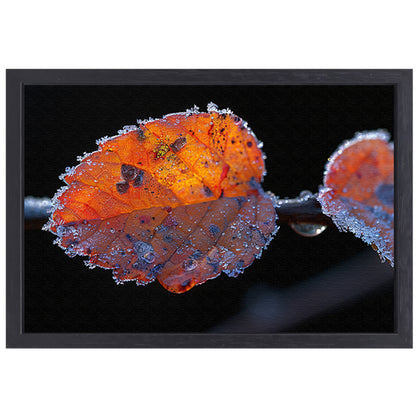 IJsglanzende wintertak canvas met baklijst