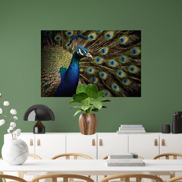 De Koninklijke Pracht van een Pauw canvas met baklijst