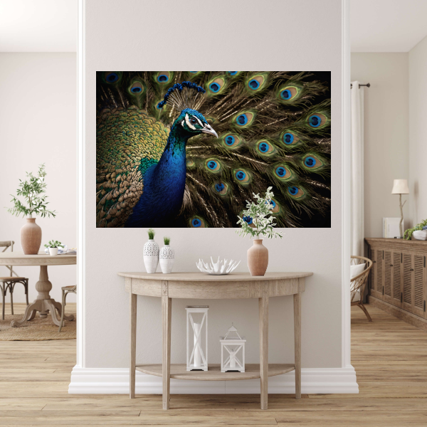 De Koninklijke Pracht van een Pauw canvas met baklijst
