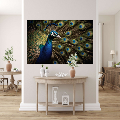 De Koninklijke Pracht van een Pauw canvas met baklijst