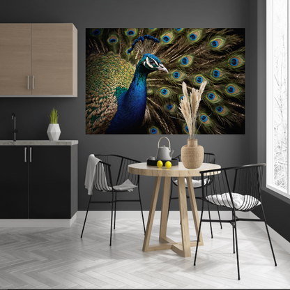 De Koninklijke Pracht van een Pauw canvas met baklijst