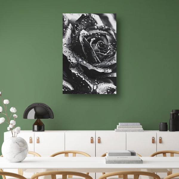 Zwart-witte roos met dauwdruppels close-up poster