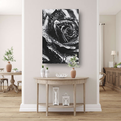 Zwart-witte roos met dauwdruppels close-up canvas