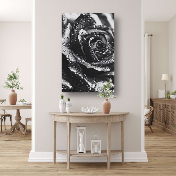 Zwart-witte roos met dauwdruppels close-up poster