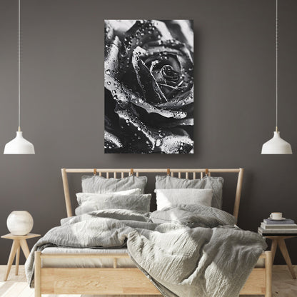 Zwart-witte roos met dauwdruppels close-up poster