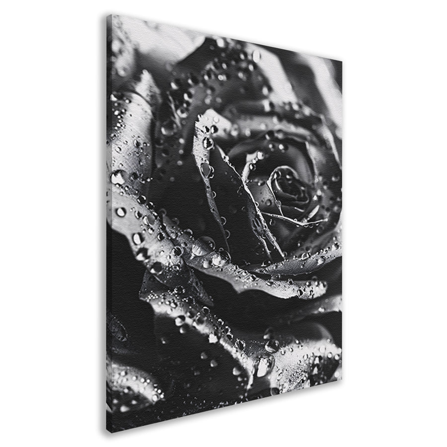 Zwart-witte roos met dauwdruppels close-up canvas
