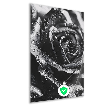 Zwart-witte roos met dauwdruppels close-up poster