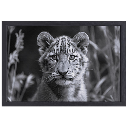Zwart-wit foto van een jonge welp canvas met baklijst