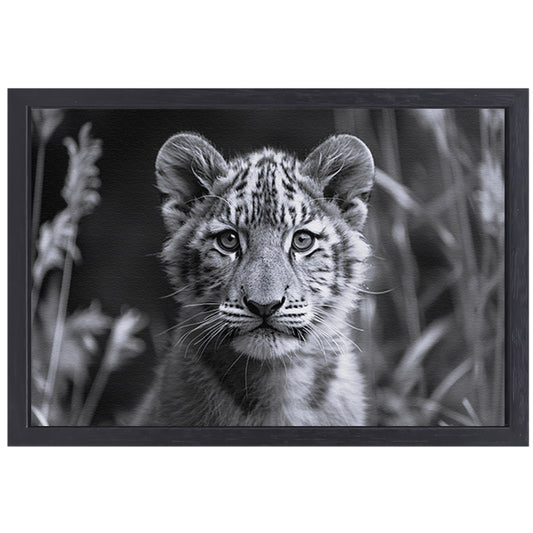 Zwart-wit foto van een jonge welp canvas met baklijst
