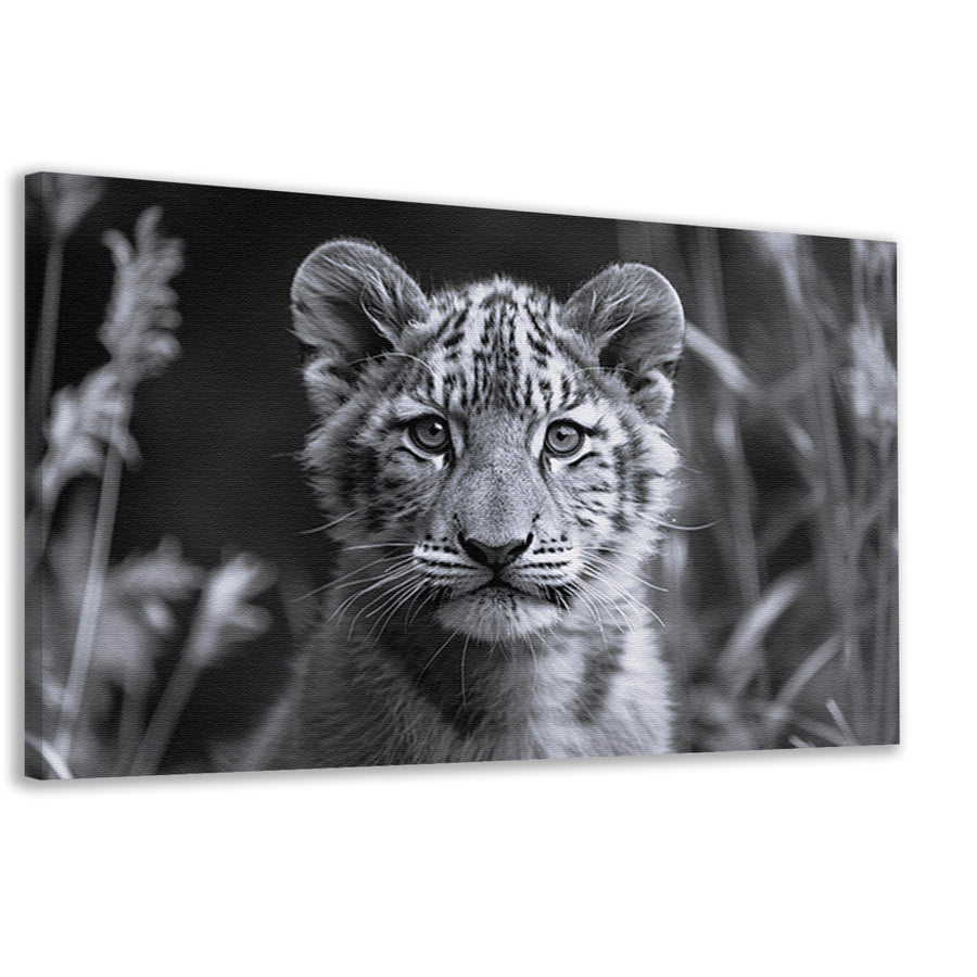 Zwart-wit foto van een jonge welp canvas