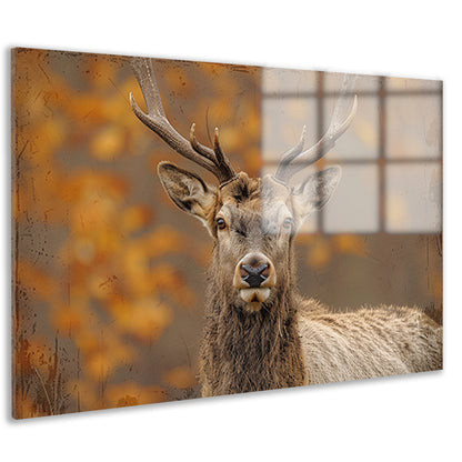 Majestueus hert in natuurlijke sepia tonen acrylglas